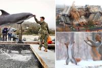 Лучше фотошопа: 23 фотографии, снятых точно вовремя (24 фото)
