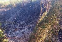 На Закарпатье бабушка упала в костер во время сжигании травы