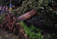 Мощный ураган в Кривом Роге: один человек погиб, два пострадали