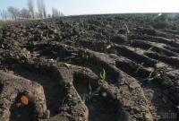 У Минэкономики есть 35 сценариев введения рынка земли