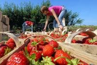 Названы самые популярные среди украинцев страны для сезонной работы