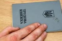 В ближайшее время трудовые книжки должны уйти в историю, — Дубилет