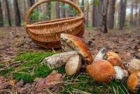 В Украине более 800 мостов требуют ремонта
