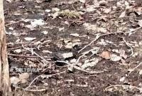 В Харькове посреди улицы нашли боевую гранату